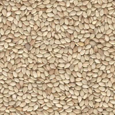 PUMPKIN SEED 25KG