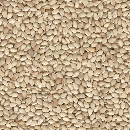 PUMPKIN SEED 25KG