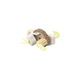 RODENT TOY DENTAL CORNY