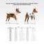 WAUDOG CLOTHES DOG SHIRT, BATMAN LOGO DESIGN