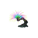 WORM FEATHER DUSTER, AQUARIUM DECOR