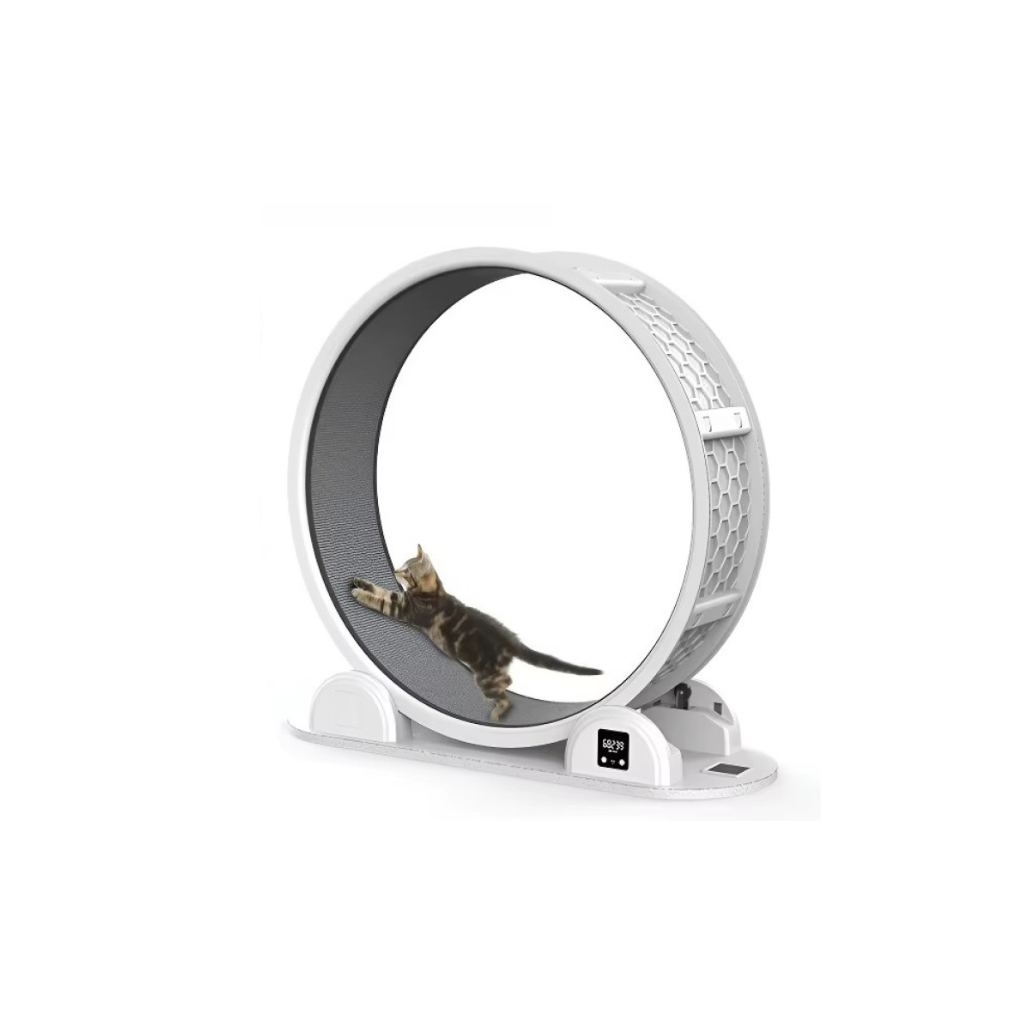 DIGITAL CAT TREADMILL WHEEL