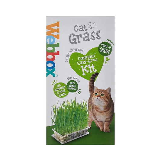 WEBBOX CAT GRASS