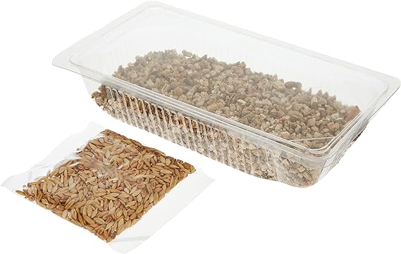 WEBBOX CAT GRASS
