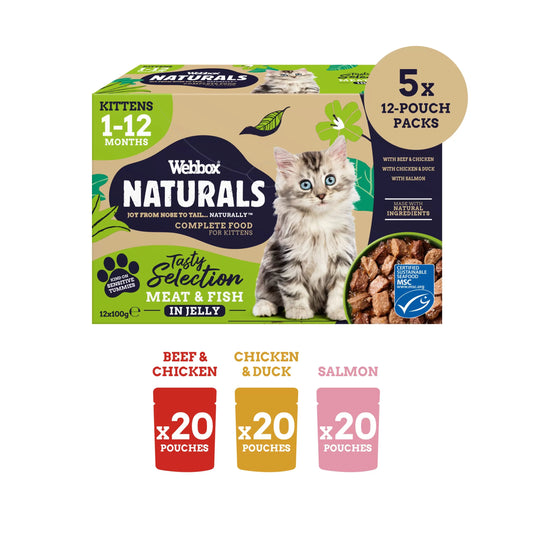 WEEBOX NATURALS KITTEN SELECTION JELLY WET CAT FOOD 12x100g