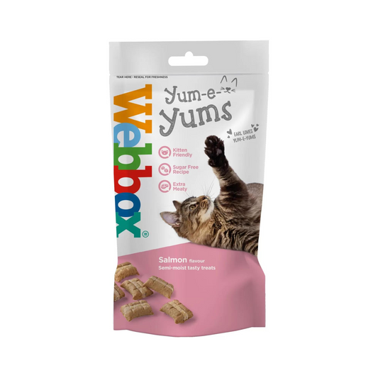 WEBBOX YUM-E-YUMS SALMON CAT TREAT 40g