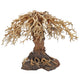 WEEPING WILLOW 3