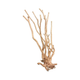 BRANCHES GIANT