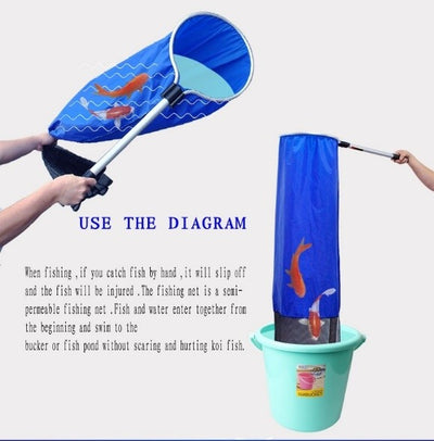 MQ QUAN KOI NET