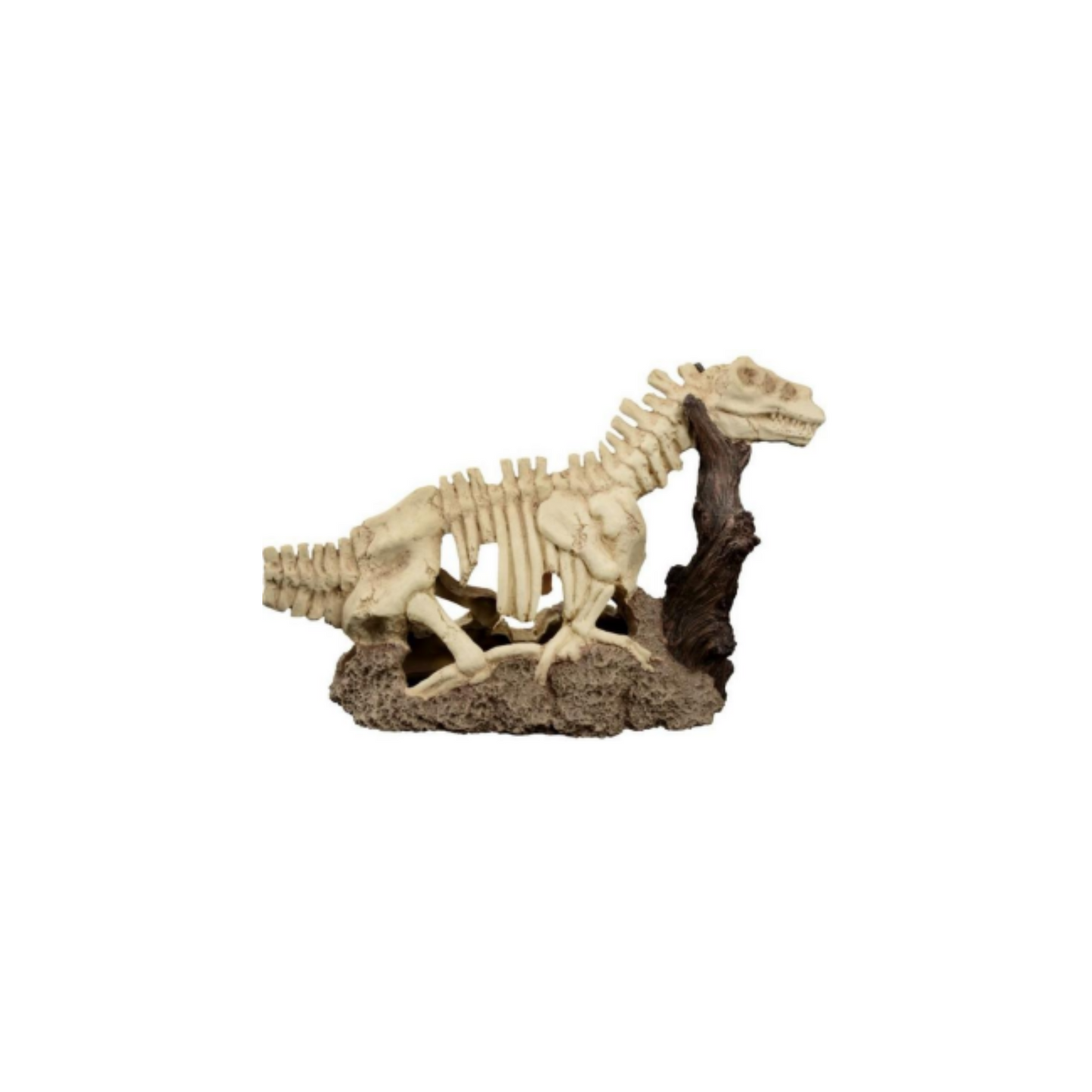 TARANNOSAURUS REX T DINOSAUR ON ROCK & ROOT DÉCOR
