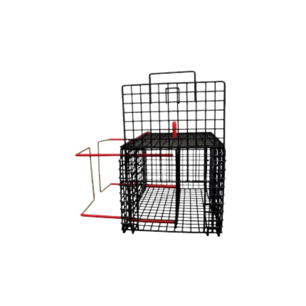 PUSH CAGE
