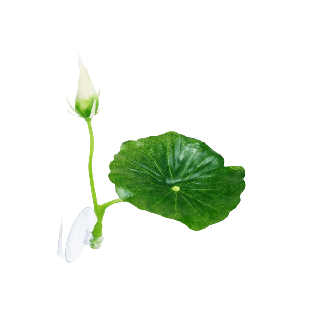 BETTA FISH REST LEAF