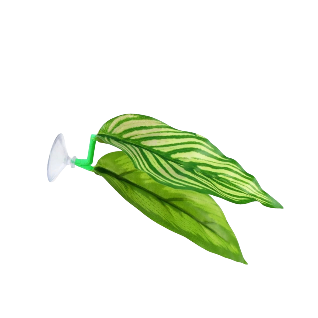 BETTA FISH REST LEAF