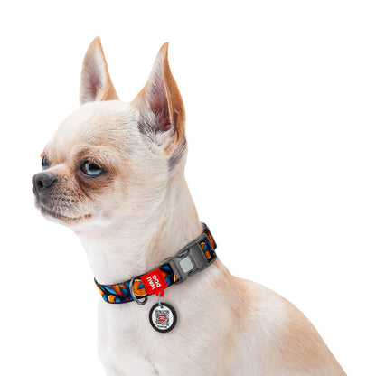 WAUDOG NYLON DOG COLLAR WITH QR PASSPORT ORANGES DESIGN
