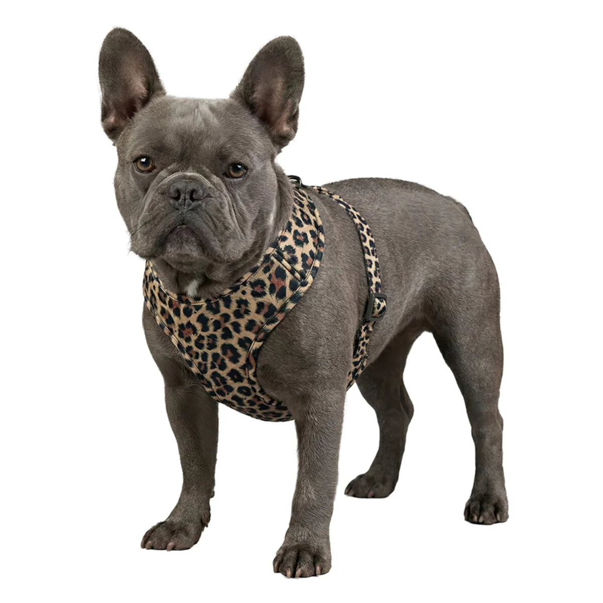 WAUDOG MESH BREATHABLE DOG HARNESS WITH QR-PET TAG LEOPARD DESIGN
