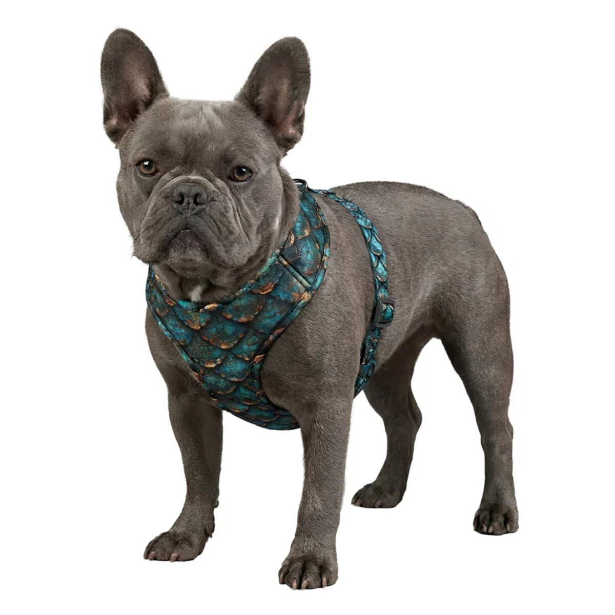WAUDOG MESH BREATHABLE DOG HARNESS WITH QR-PET TAG LEOPARD DESIGN