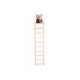 LADER PAPROT 10 ΒΗΜΑΤΑ