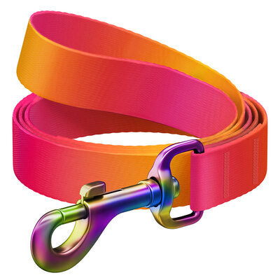 WAUDOG NYLON DOG LEASH GRADIENT ORANGE