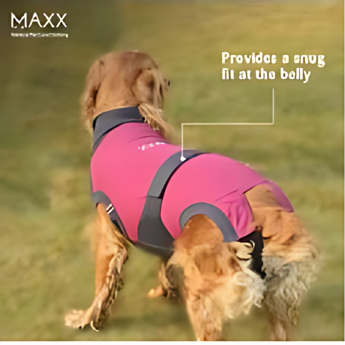 MAXX DOG RECOVERY PET SUIT