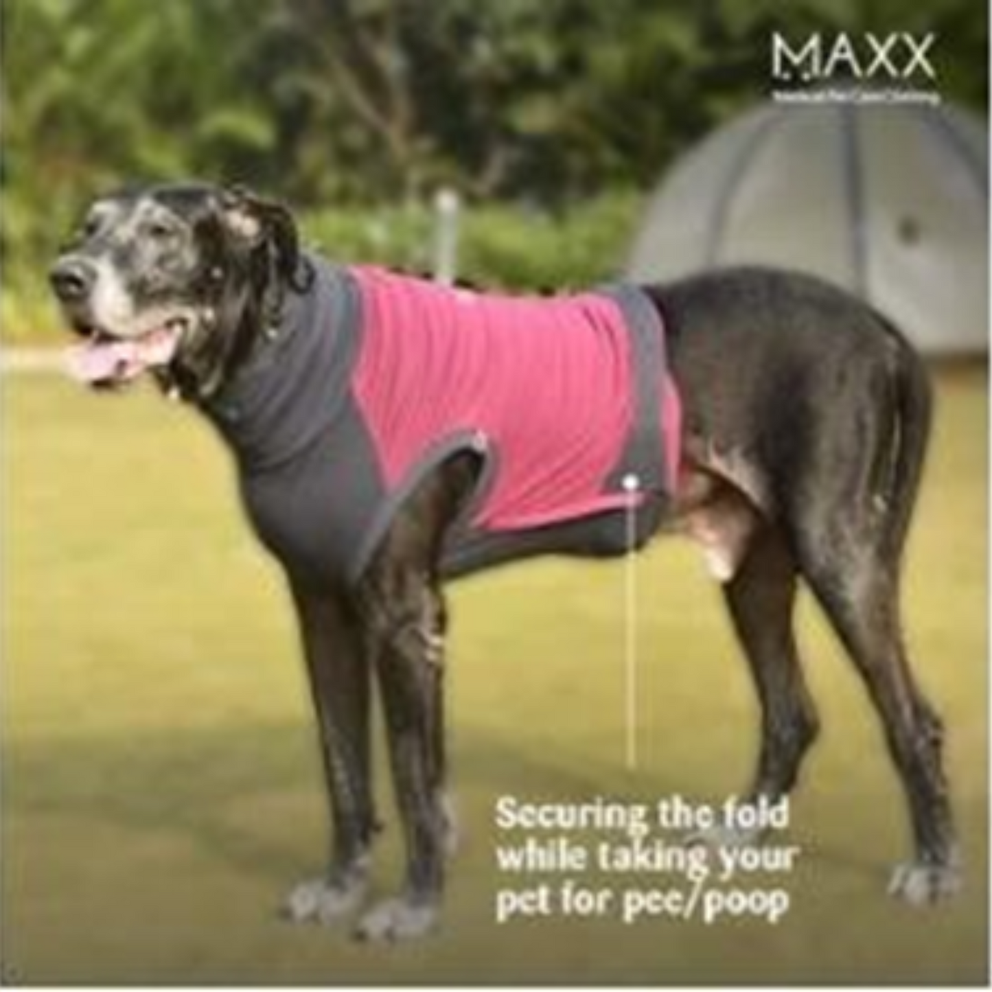 MAXX DOG RECOVERY PET SUIT