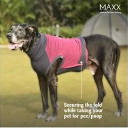 MAXX DOG RECOVERY PET SUIT