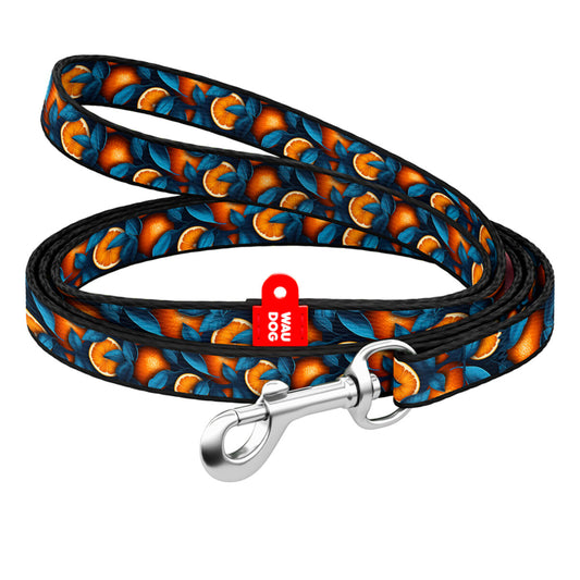 WAUDOG NYLON LEASH ORANGES DESIGN