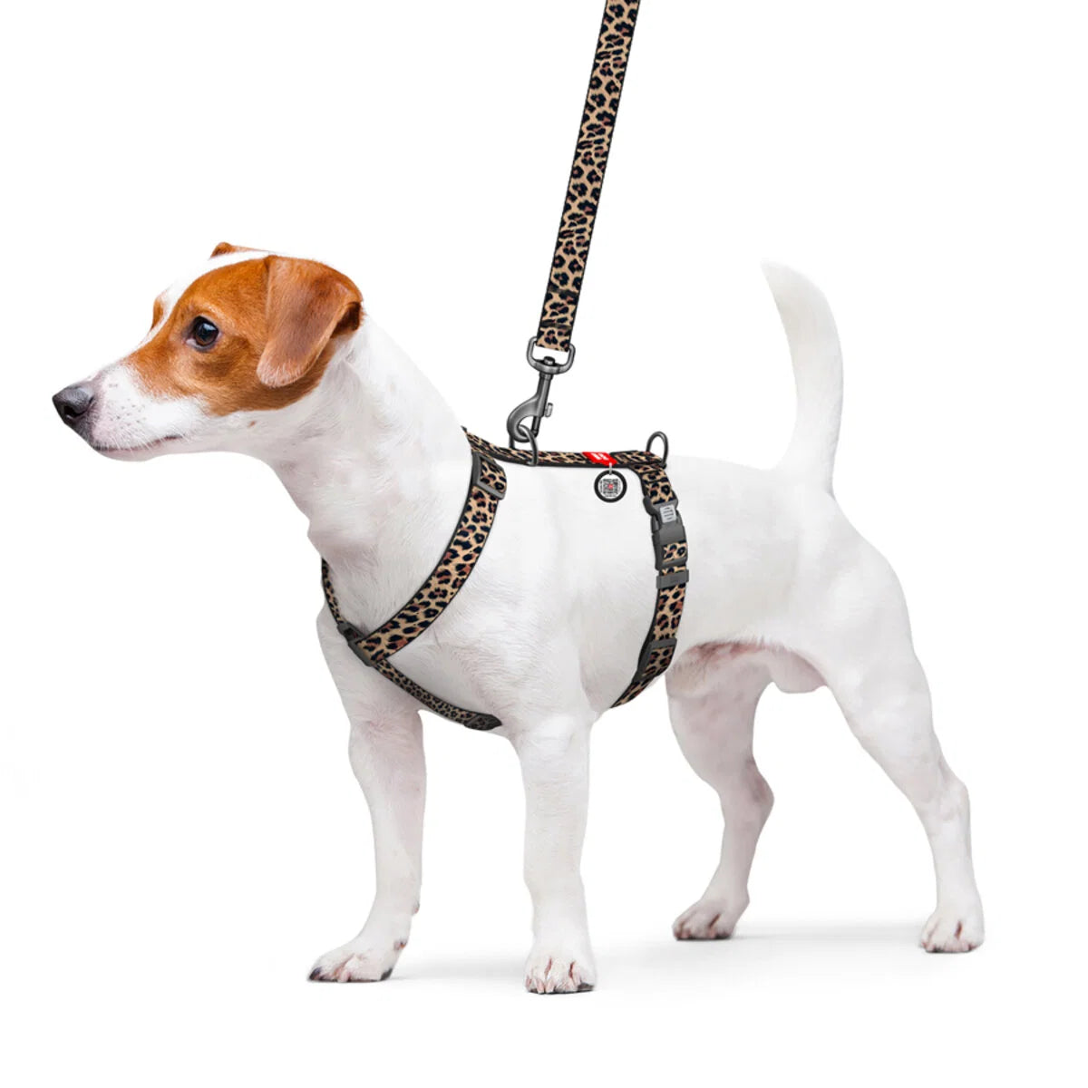 WAUDOG NYLON DOG H-HARNESS WITH QR-PASSPORT, LEOPARD DESIGN PLASTIC FASTEX