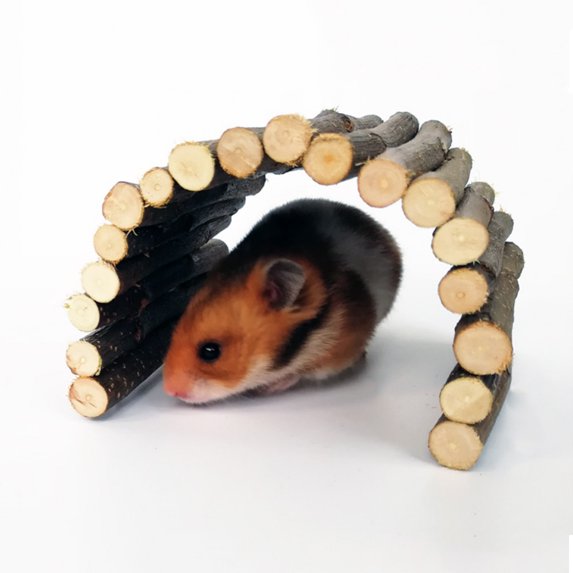 WOODEN RODENT BRIDGE
