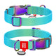 WAUDOG NYLON DOG COLLAR WITH QR-PASSPORT GRADIENT BLUE