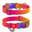 WAUDOG NYLON DOG COLLAR WITH QR-PASSPORT GRADIENT ORANGE
