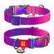 WAUDOG NYLON DOG COLLAR WITH QR-PASSPORT GRADIENT PURPLE