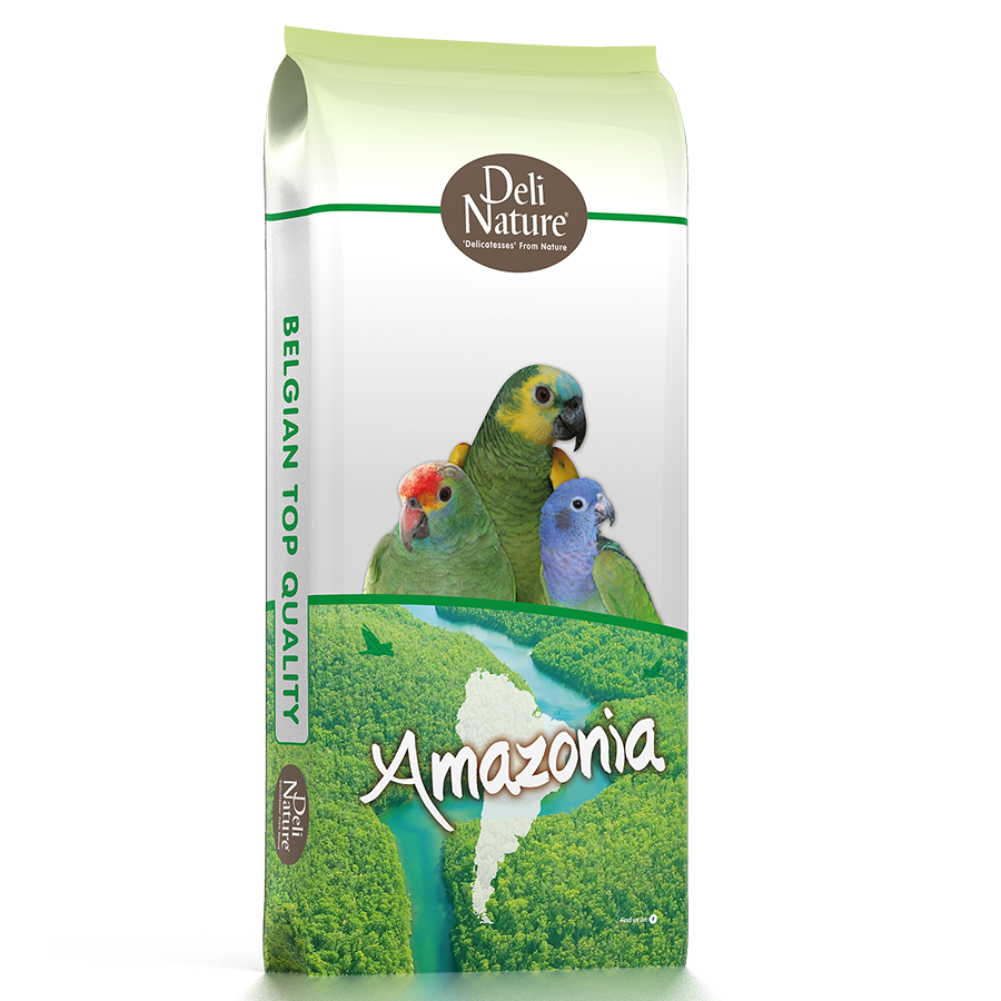 22-BIRDLICIOUS PARROT AMAZONIA