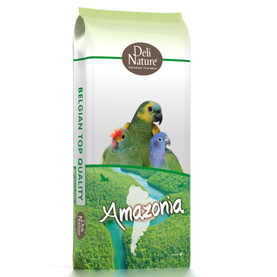 22-BIRDLICIOUS PARROT AMAZONIA