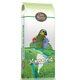 22-BIRDLICIOUS PARROT AMAZONIA