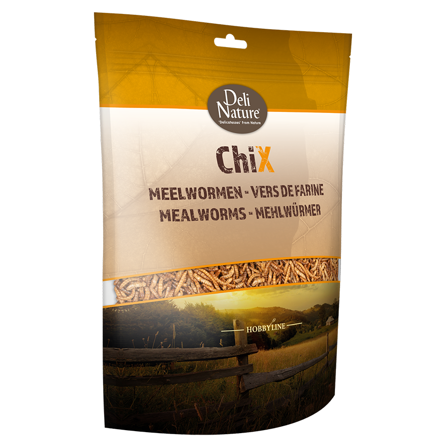 CHIX MEALWORMS