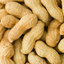 GROUNDNUT