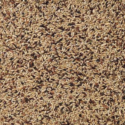 PREMIUM CANARIES 1KG