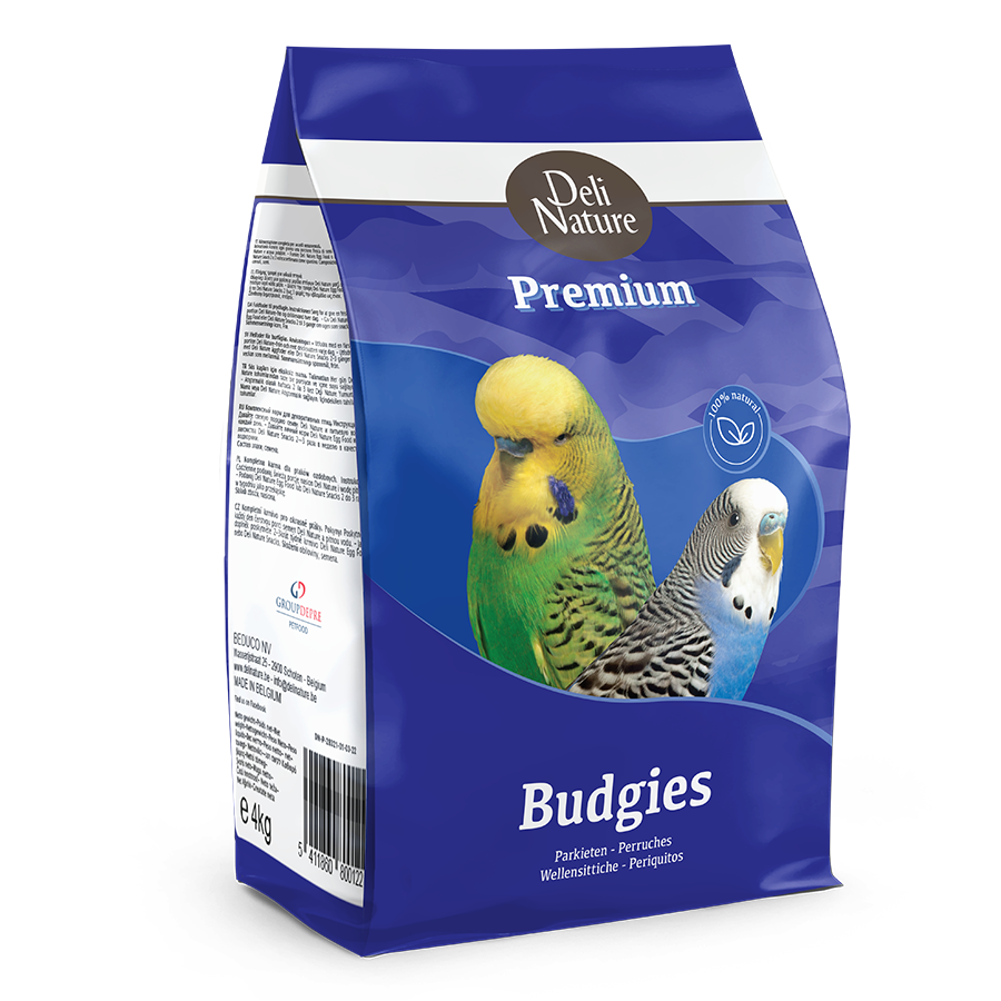 BUDGIES PREMIUM