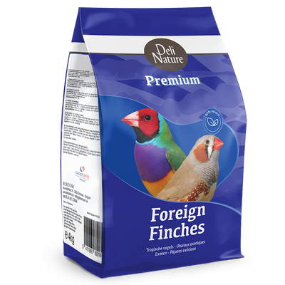 41-PREMIUM FOREIGN FINCH