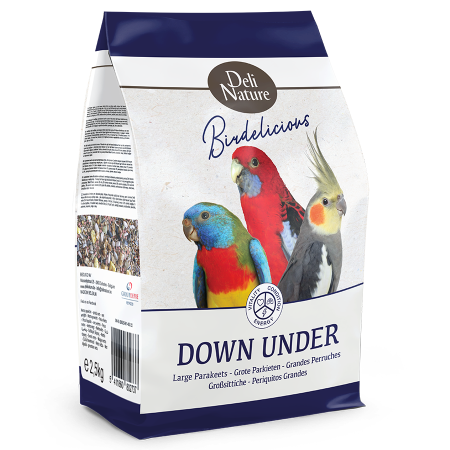 BIRDELICIOUS PARAKEET DOWN UNDER