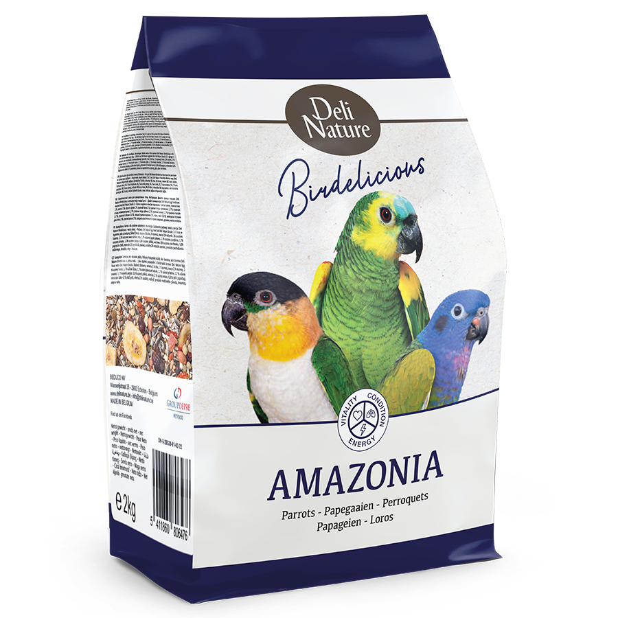 22-BIRDLICIOUS PARROT AMAZONIA