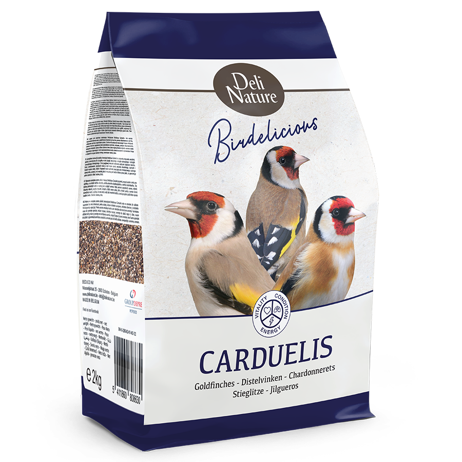 97-BIRDLICIOUS CARDUELIS