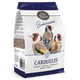 97-BIRDLICIOUS CARDUELIS