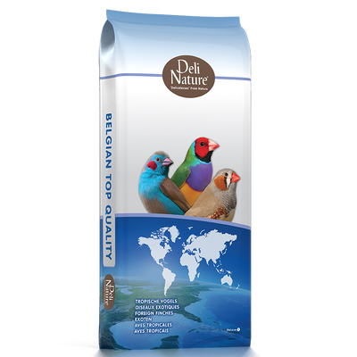 41-PREMIUM FOREIGN FINCH