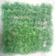 PLASTIC BOTTOM PLANT GRASS