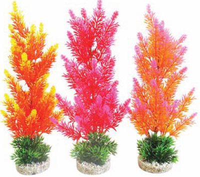 AQUAPLANT COLOR X-БОЛЬШОЙ