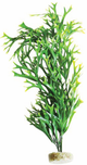 WATER FERN MAXI FLEXIBLE