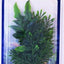 AQUARIUM PLANT ASSORTMENT
