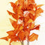 SILK PLANT ORANGE 16’’ 40cm