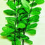 SILK PLANT 16” 40CM